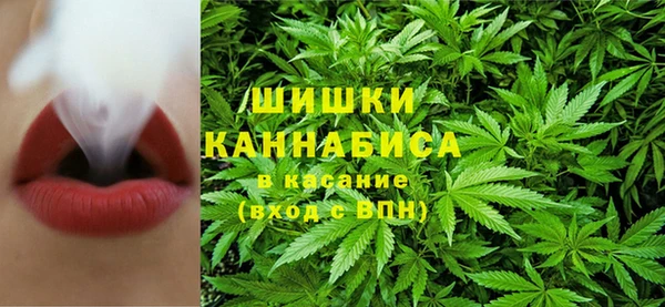 прущие грибы Зеленокумск