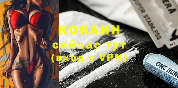 прущие грибы Зеленокумск