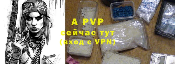 прущие грибы Зеленокумск