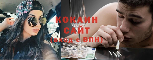 соль ск Зеленодольск